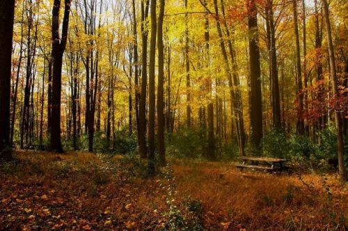 Cutting-edge imaging, microscopic accuracy, and an environment crafted for comfort