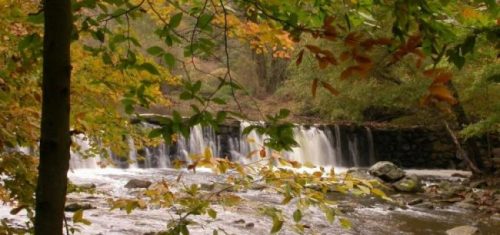 State-of-the-art technology paired with an uncompromising commitment to comfort and precision